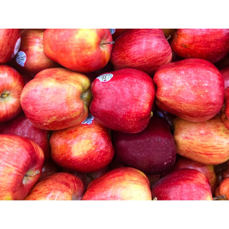Fresh Apple (1 Pound) (Sib)(Seeb)