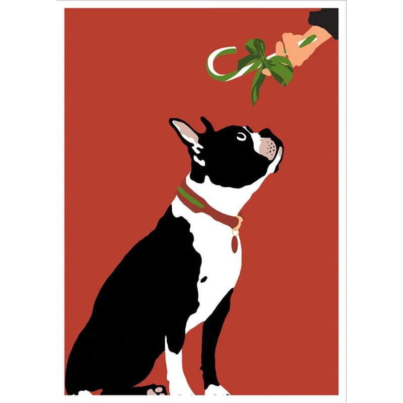 Christmas Boston Terrier Boxed Cards